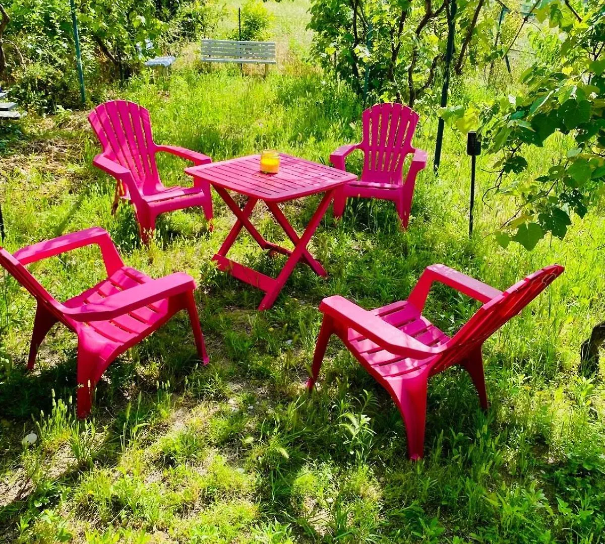니스 Echapee Belle - Vinayard View - Jacuzzi Bbq - Parking 아파트
